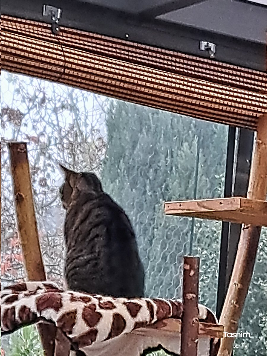 It's cold, and I'm watching my garden!! You can see my warm breath on the window