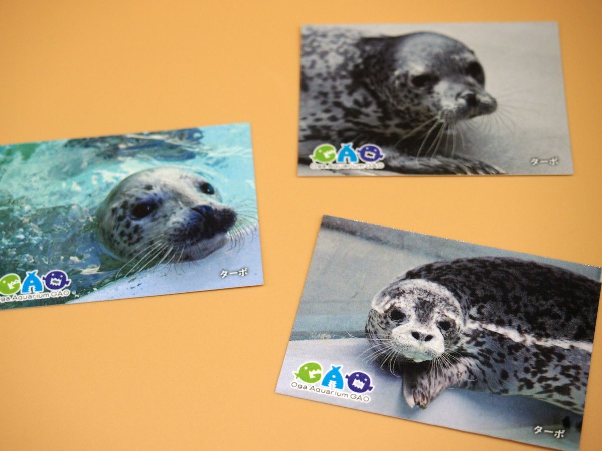 フェイスタオル ターボ」・ステッカーセット「ターボ」につきまして