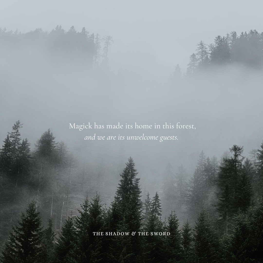 Introducing the assassin, the soldier she's trying to kill, and the circus fortune teller helping both of them... without the other knowing ⚔️🖤🎪 #questpit #A #DF #AG