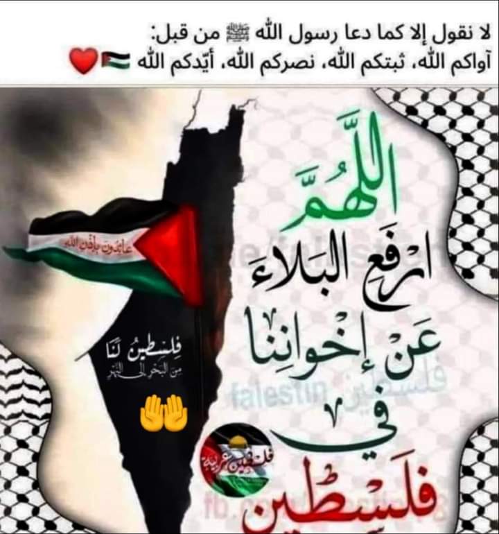 emir_okab's tweet photo. https://t.co/gxaRJgWIMa