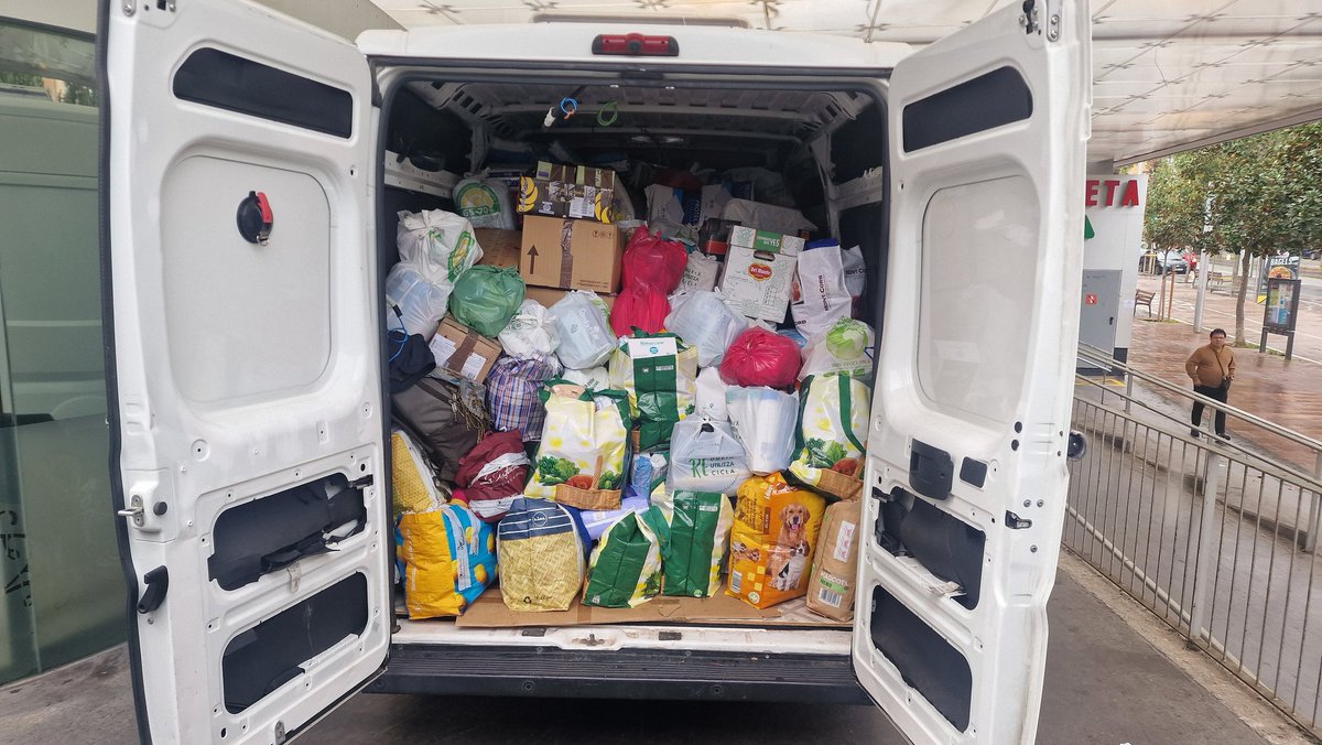 CP 3 Voltes Rebel tweet media