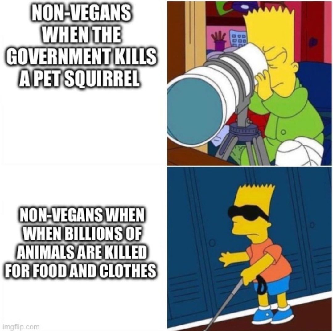 Unapologist tweet media