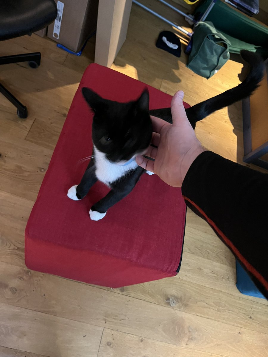 In Redbridge for UXIR after a night of being tormented by our generous hosts’ kitten (photo attached) the 2s are playing KCL4 first.