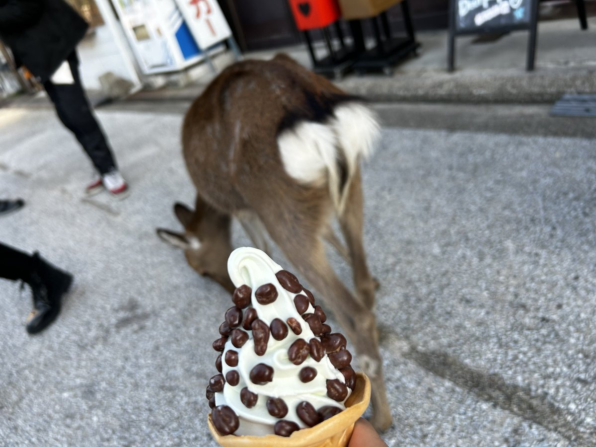 tk_gspk's tweet image. 宮島💩