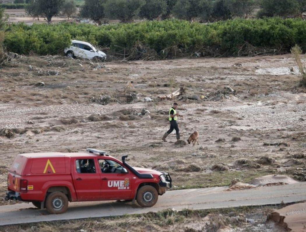 Luis Garicano 🇪🇺🇺🇦 tweet media