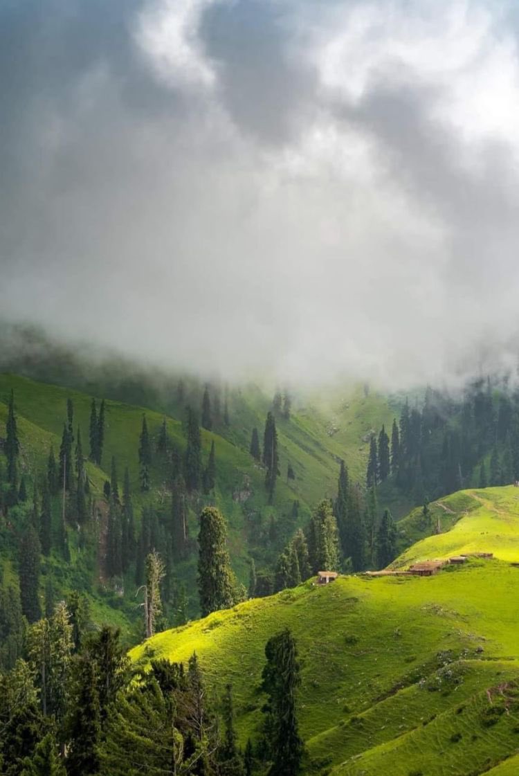 m77847727's tweet photo. Shogran valley 🌸 https://t.co/stgiLYqUzA