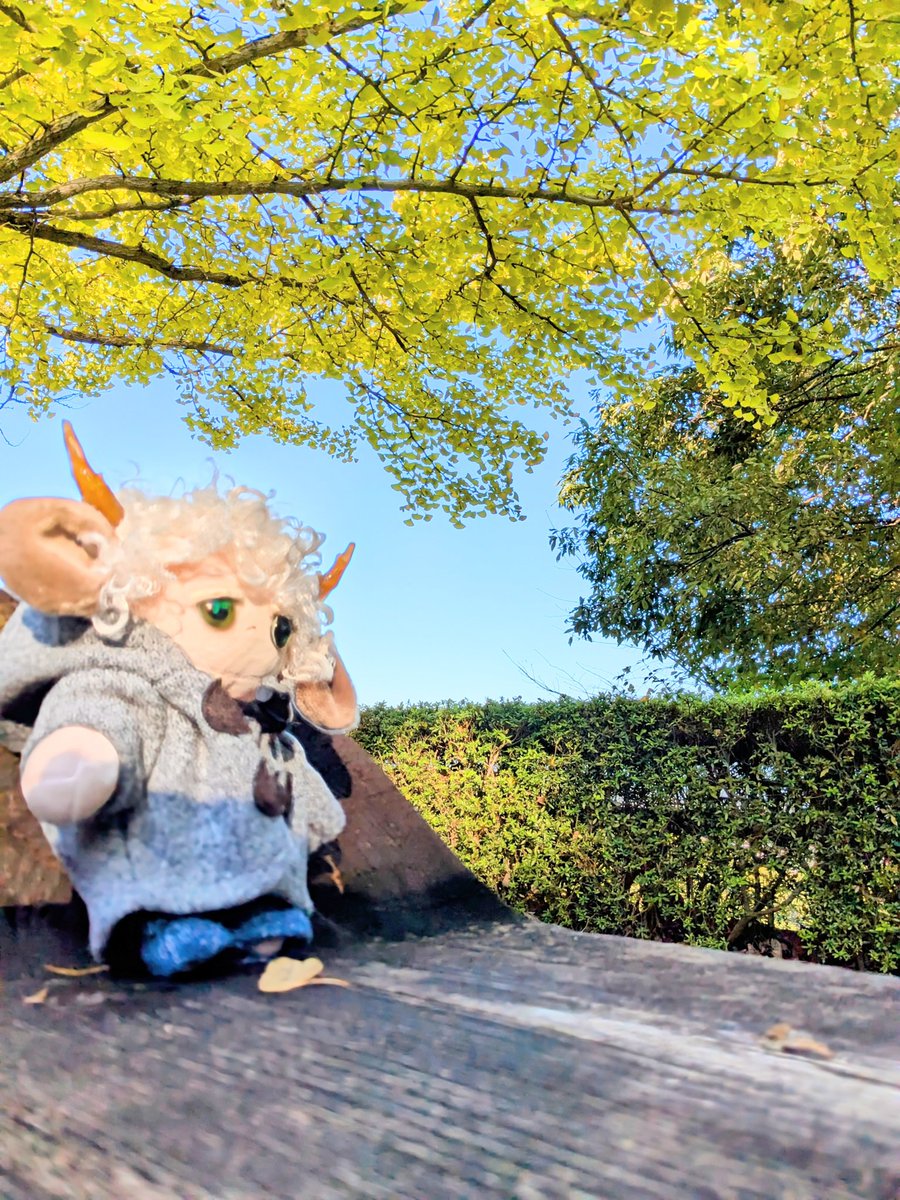 chabizo115's tweet photo. 久々のぬい活✨
あまり上手く撮れなかったけども...紅葉が始まってたり天候良くて気持ちのいい旅でした
スリーコインズで買ったぬい用コート可愛い🤤

 #ぬい活  #自作ぬい  #ぬい撮り  #ハンドメイドぬいぐるみ  #ハンドメイド  #ぬい蔵Chabee  #カボションアイのぬい https://t.co/N8bKGLJC3x