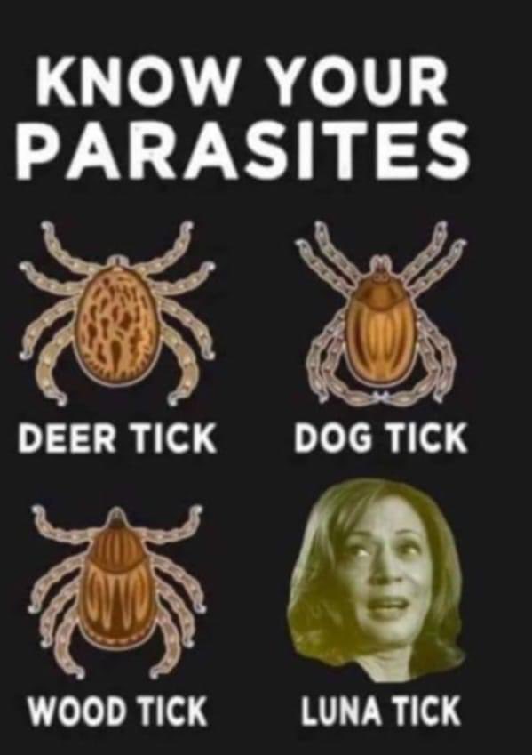 Gotta know your parasites!

#KamalaHarris #Trump2024 #MAGA #MAHA
