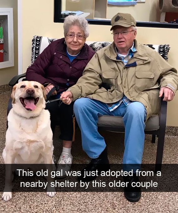 Please don't swipe past without sending him some love! 😍 🎉