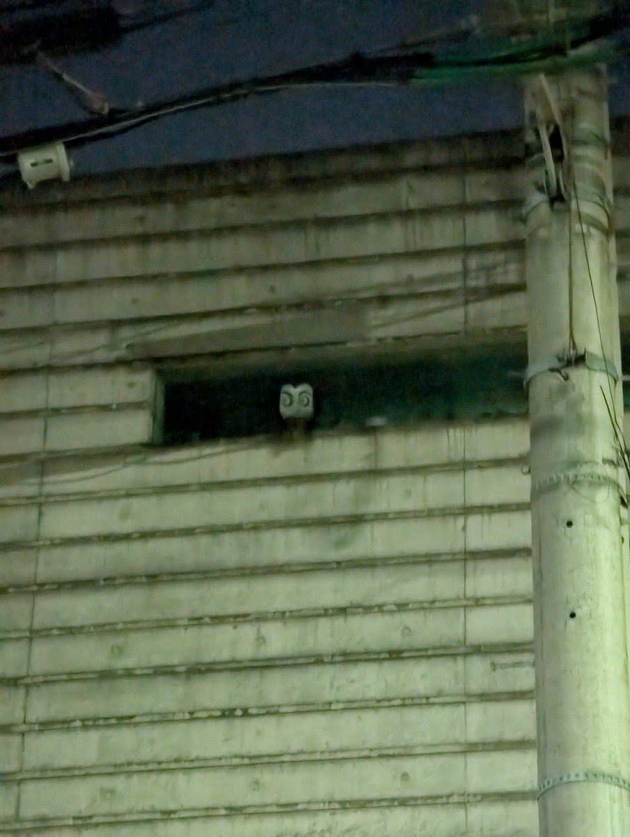 better get moving fast. I thought Tokyo was a safe place 🤣