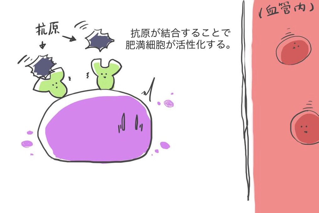 独断と偏見まみれのアレルギーⅠ型💨

※学生の時に描いたものなので、間違ってたら是非リプ欄でご指摘ご指導お願いします。 