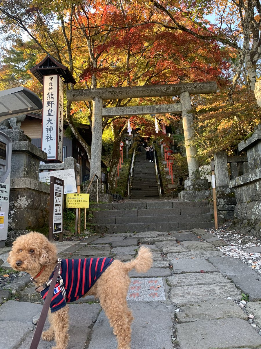PINKMEN's tweet photo. 力餅買いに碓氷峠頂上へ　#しげの屋 https://t.co/JK4qS5Og8C