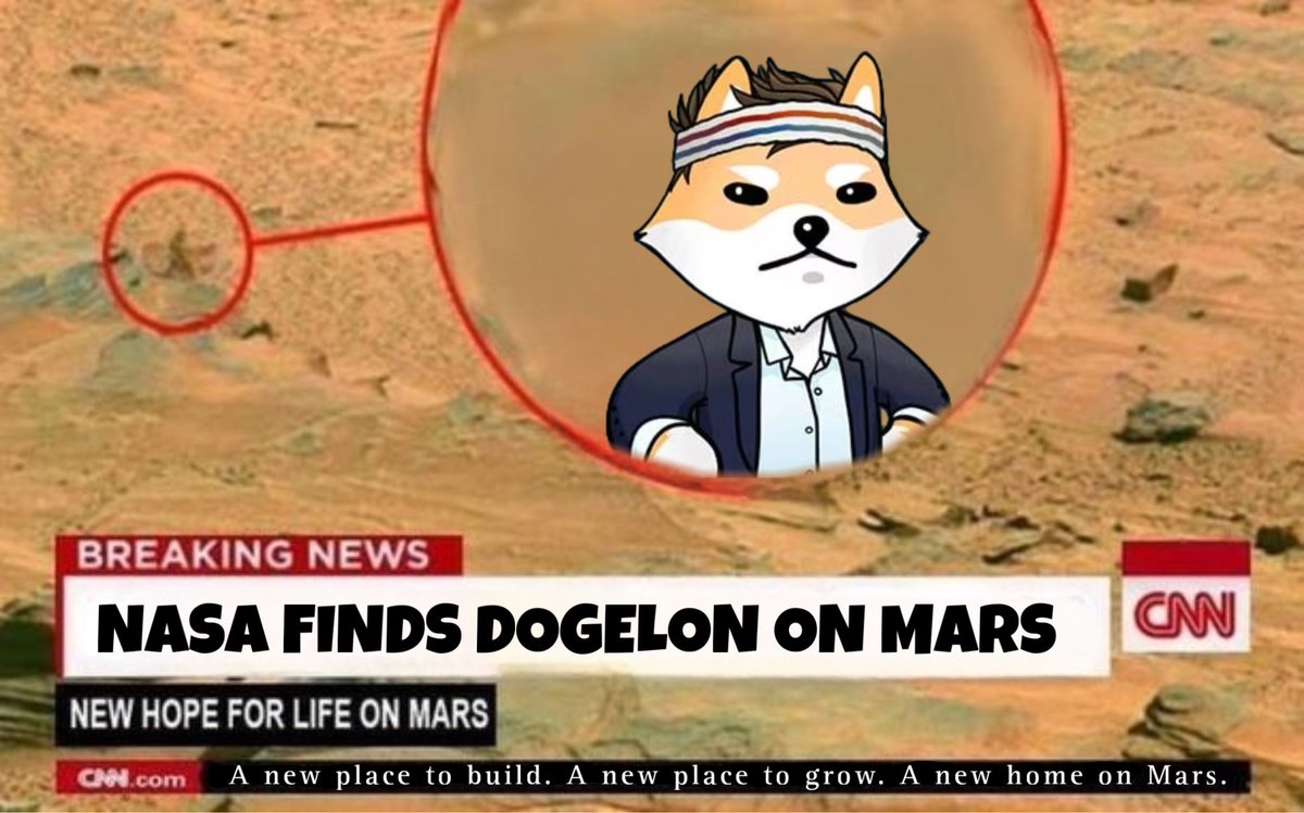 Future guaranteed on Mars! 😂 @Ecom_Marco <a href="/DogelonMars/">Dogelon Mars</a> 

#DogelonMemeContest $ELON