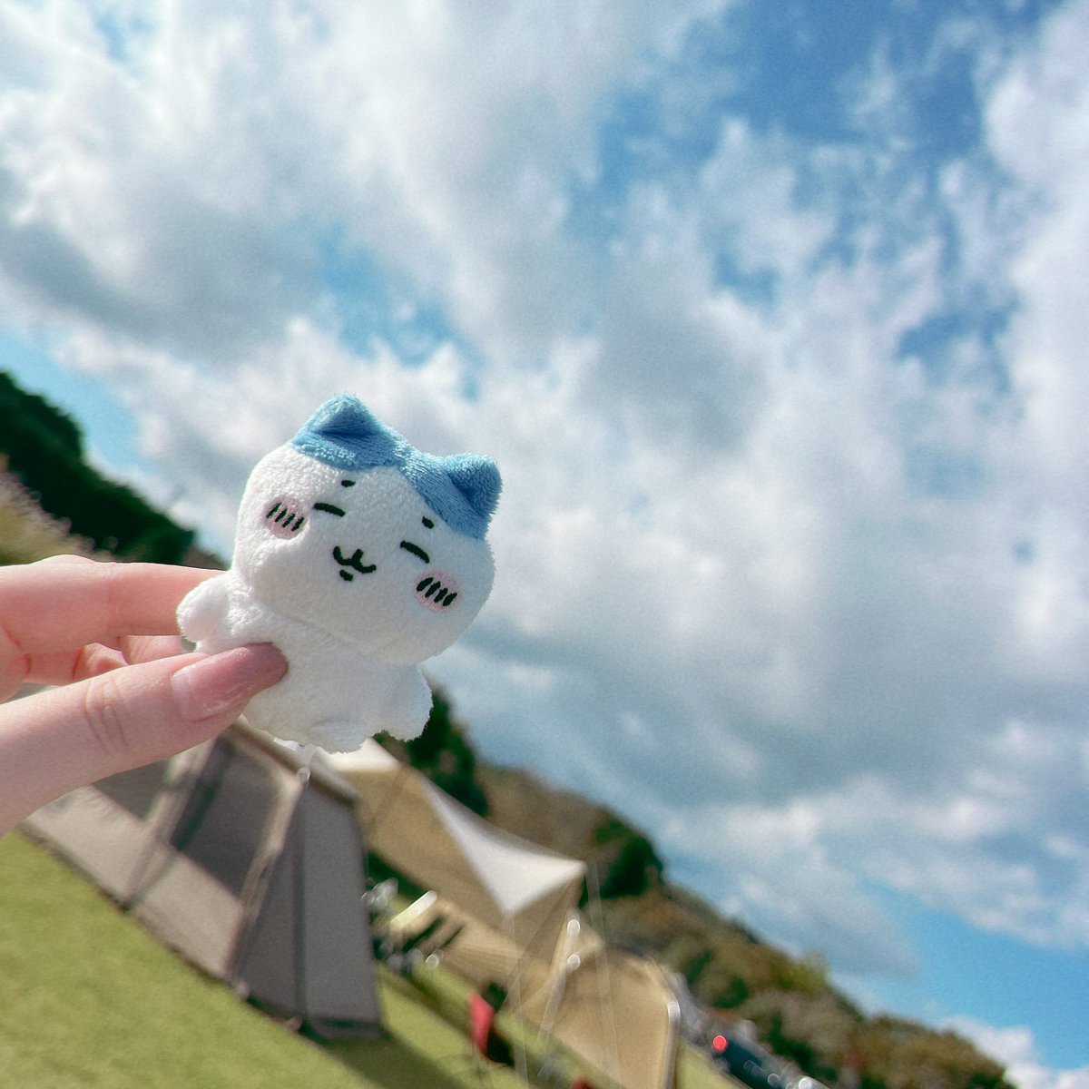 Rabbit346's tweet photo. キャンプ来たぞい
チーズフォンデュうますぎ https://t.co/4Q2HGc5H9L