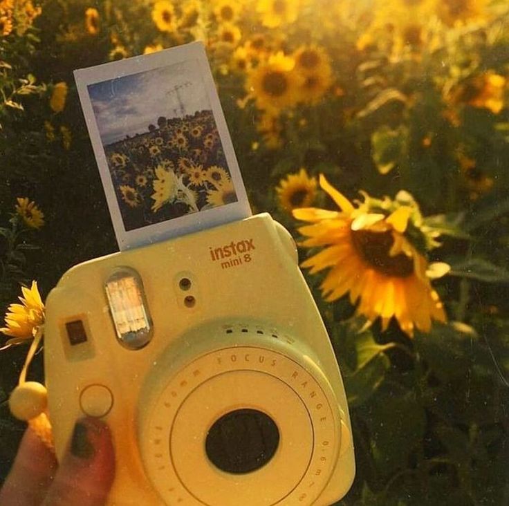 Natsu 夏 ☀ tweet media
