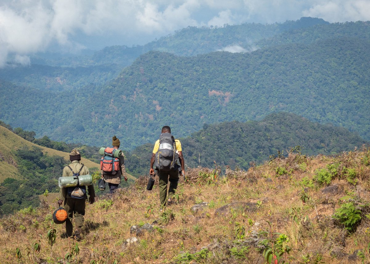 🌿 Happy #InternationalDayforBiosphereReserves ! Did you know? Cross River National Park has two biosphere reserves! Biosphere reserves are protected areas recognized by UNESCO as part of its Man and the Biosphere Program. #BiosphereReserve #CrossRiverNationalPark 💚