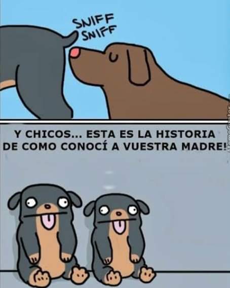 Larryyuriel79's tweet photo. 😱🤭🤭🤭🤭
¡Feliz domingo cachorrit@s!
#domingoenfamilia https://t.co/uqCQpWPB7P