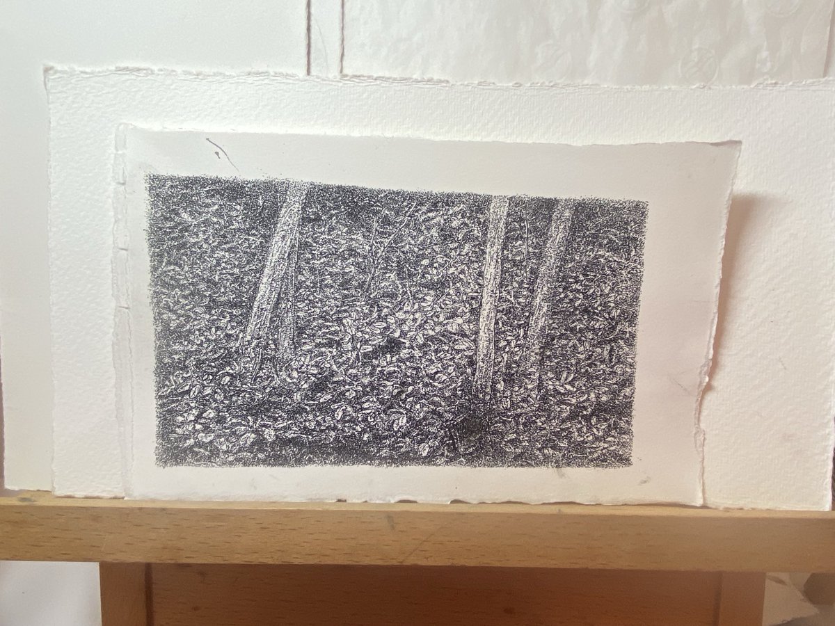 danberia's tweet photo. Un bosco #drawing #ink #nature https://t.co/jPaaeejWs5