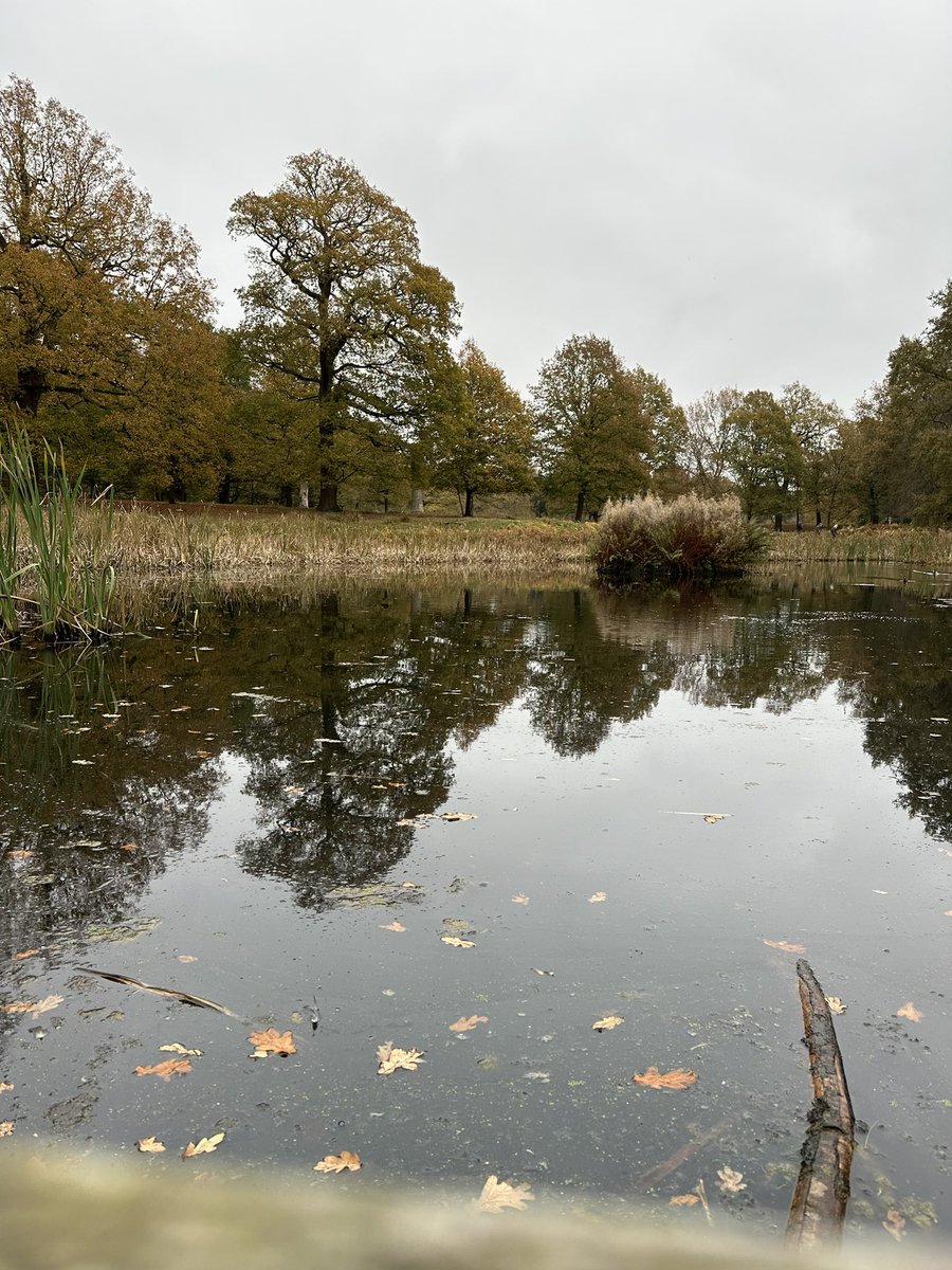 Jackie Perry tweet media