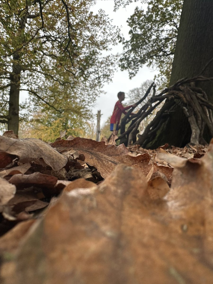 Jackie Perry tweet media