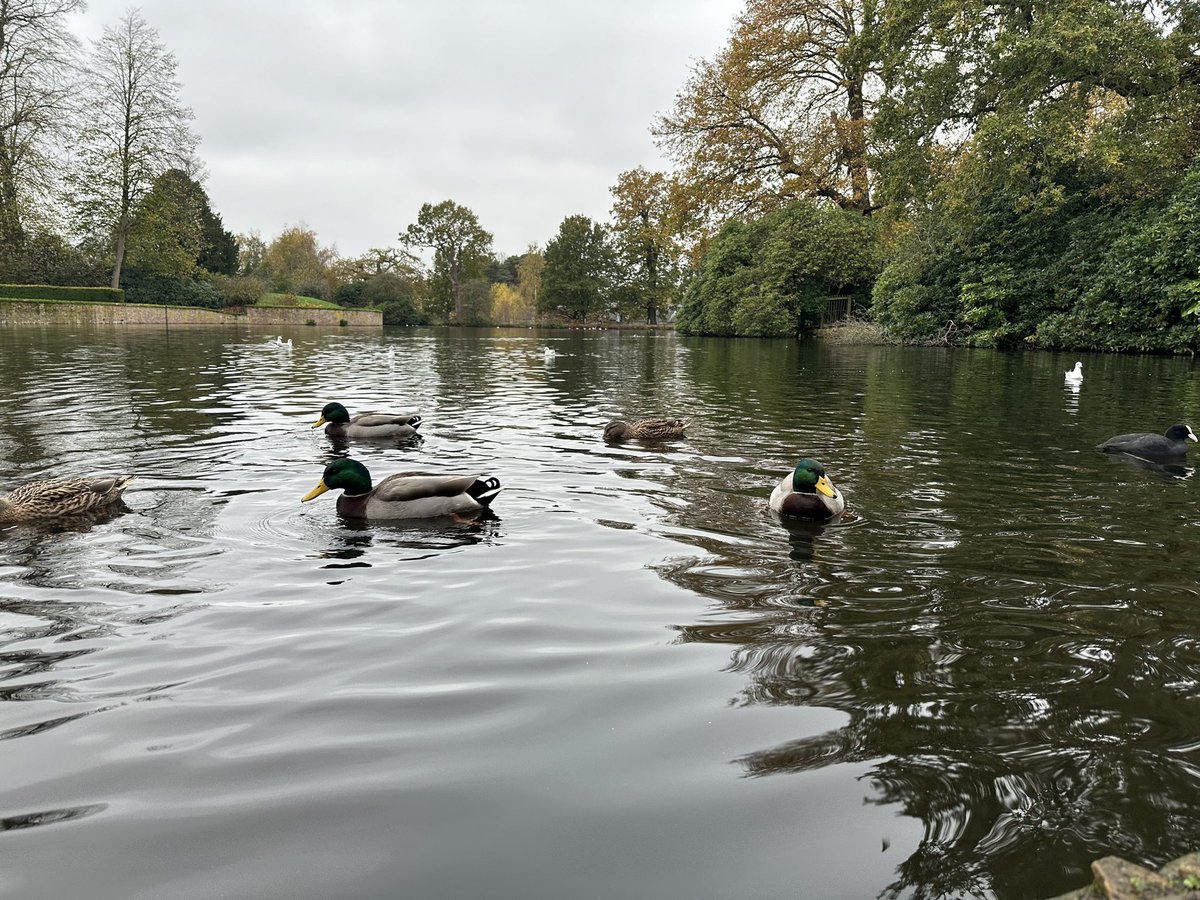 Jackie Perry tweet media