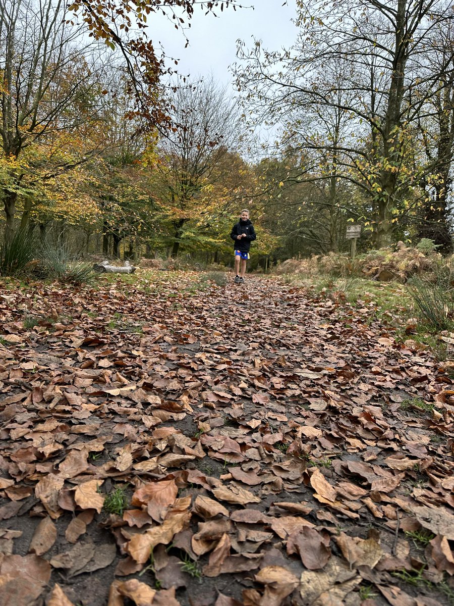 Jackie Perry tweet media