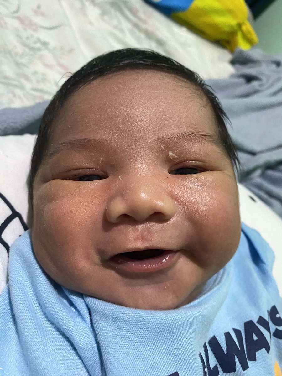 illanicolee's tweet photo. baby botchog https://t.co/yFlmRFxDYK