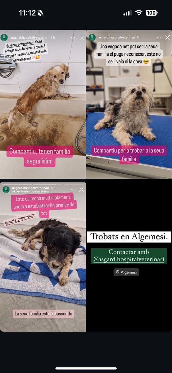 ♥️🇪🇸🫡✝️👍🏼Rosi🌹☁️😶‍🌫️🦔🐾 tweet media