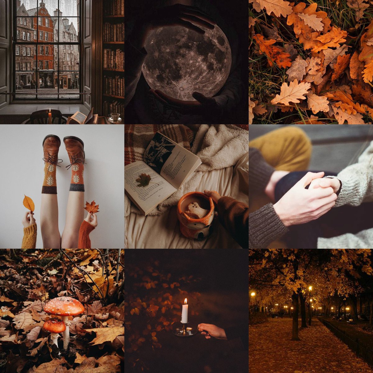 🍂✨Anne with an E x Witches 

When the ghostly forest she’s dreamed of her whole life starts stealing girls from her new school, a lonely witch is left with one choice:

Stop the forest by becoming its next target, or lose her one &amp; only chance at home.
#QuestPit #mg #w 🇨🇦🏳️‍🌈