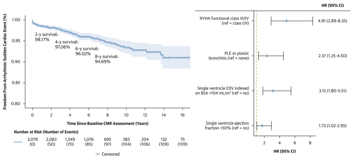 Tarek Alsaied tweet media