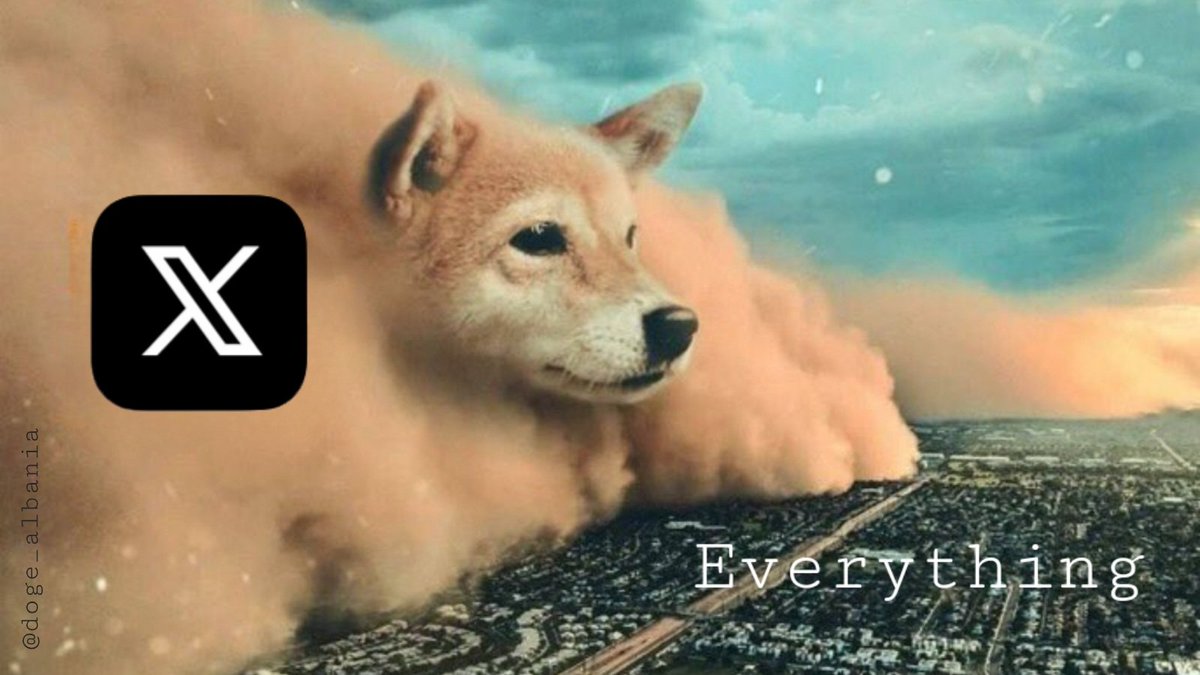 doge_albania's tweet photo. 𝕏 ----> https://t.co/JVtxgBfDsF