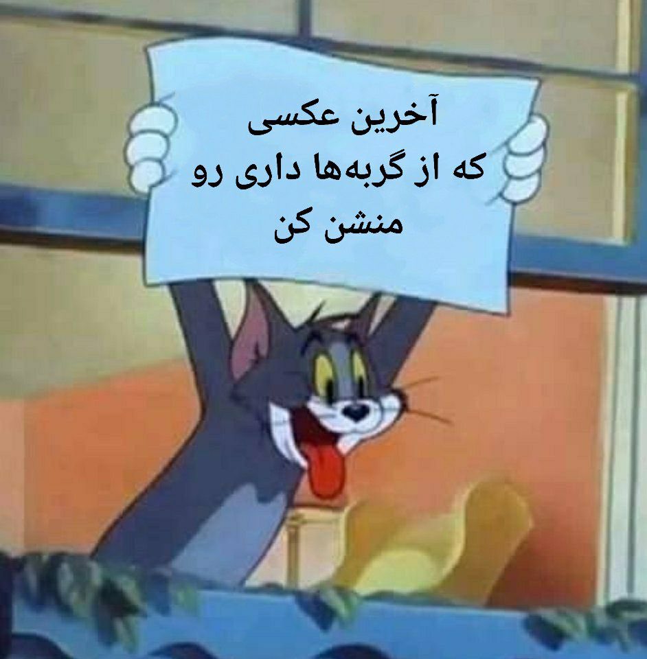 hell✨ tweet media