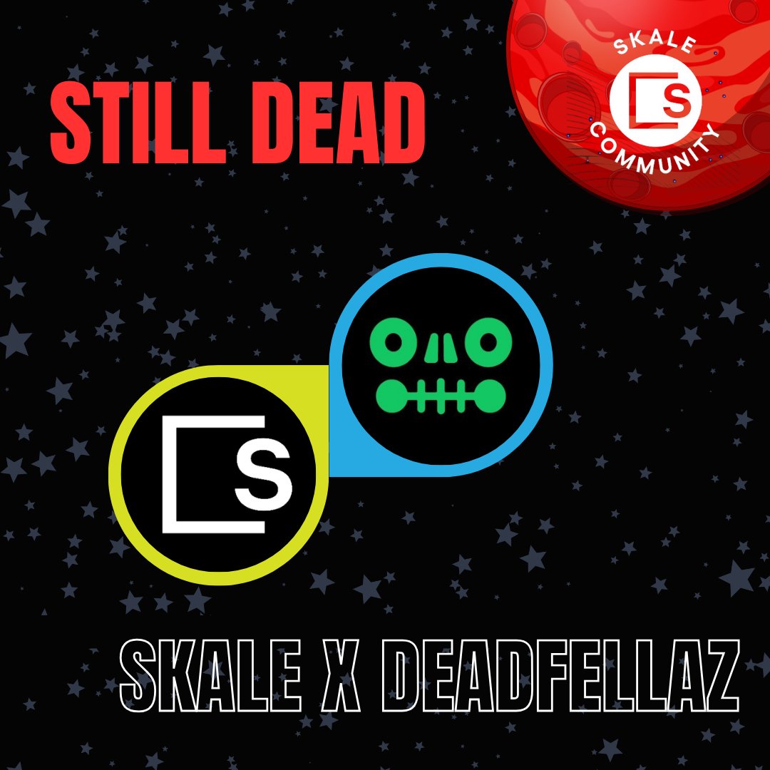 SKALE Developers tweet media