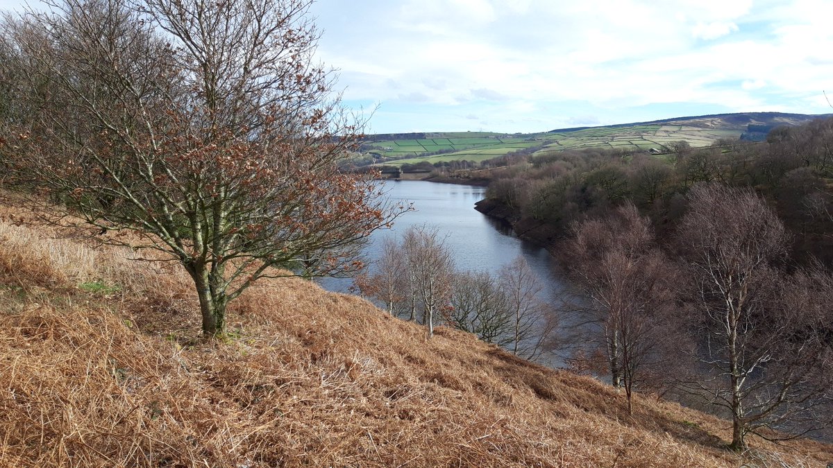 Photography Phil tweet media