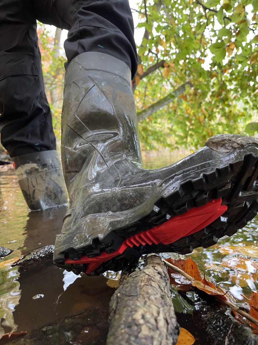 NorabootsDK tweet media