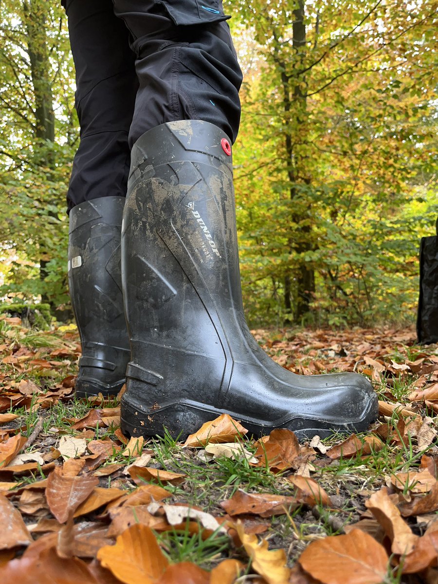 NorabootsDK tweet media