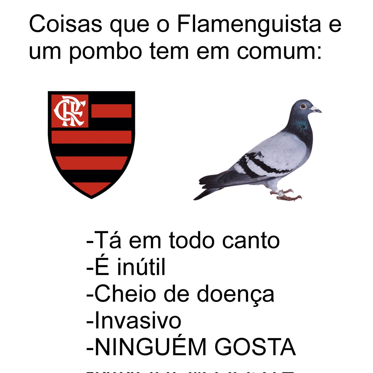 brasileiraoopre's tweet photo. 🐓| https://t.co/6qHrsN3VYq