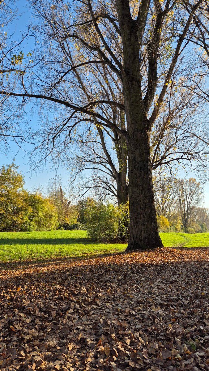#sonbahar
#AutumnBeauty
