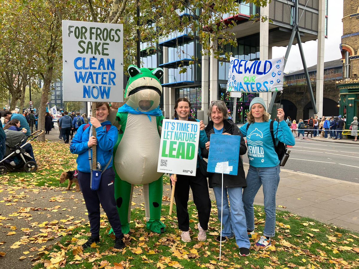 Rewilding Britain tweet media