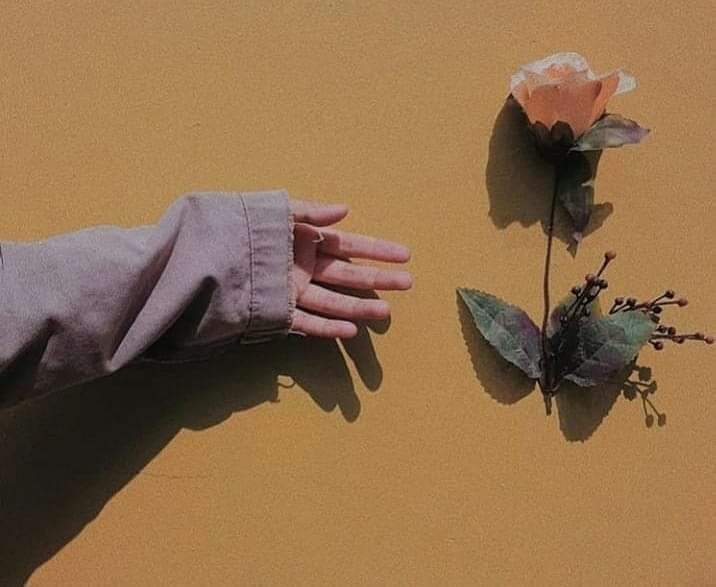 میرا دل بھی جیسے خزاں کے موسم کو کاٹ رہا ہے آہستہ آہستہ جیسے سب ویران ہو رہا ہے 🥀
#قومی_زُبان