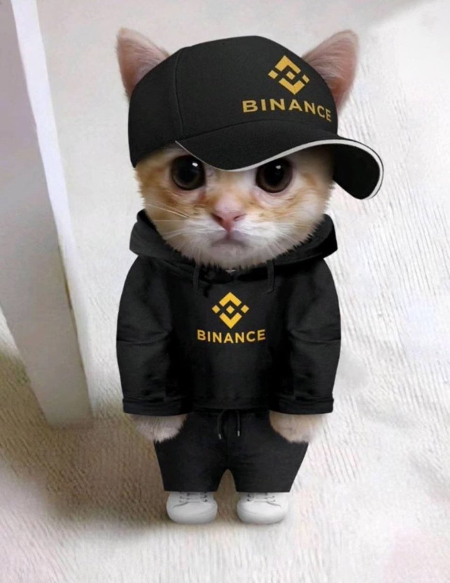 Scherschl1's tweet photo. @bene_ctb @elonmusk @binance I love it #catboy in #catmobile https://t.co/QQo4Yy0QpA