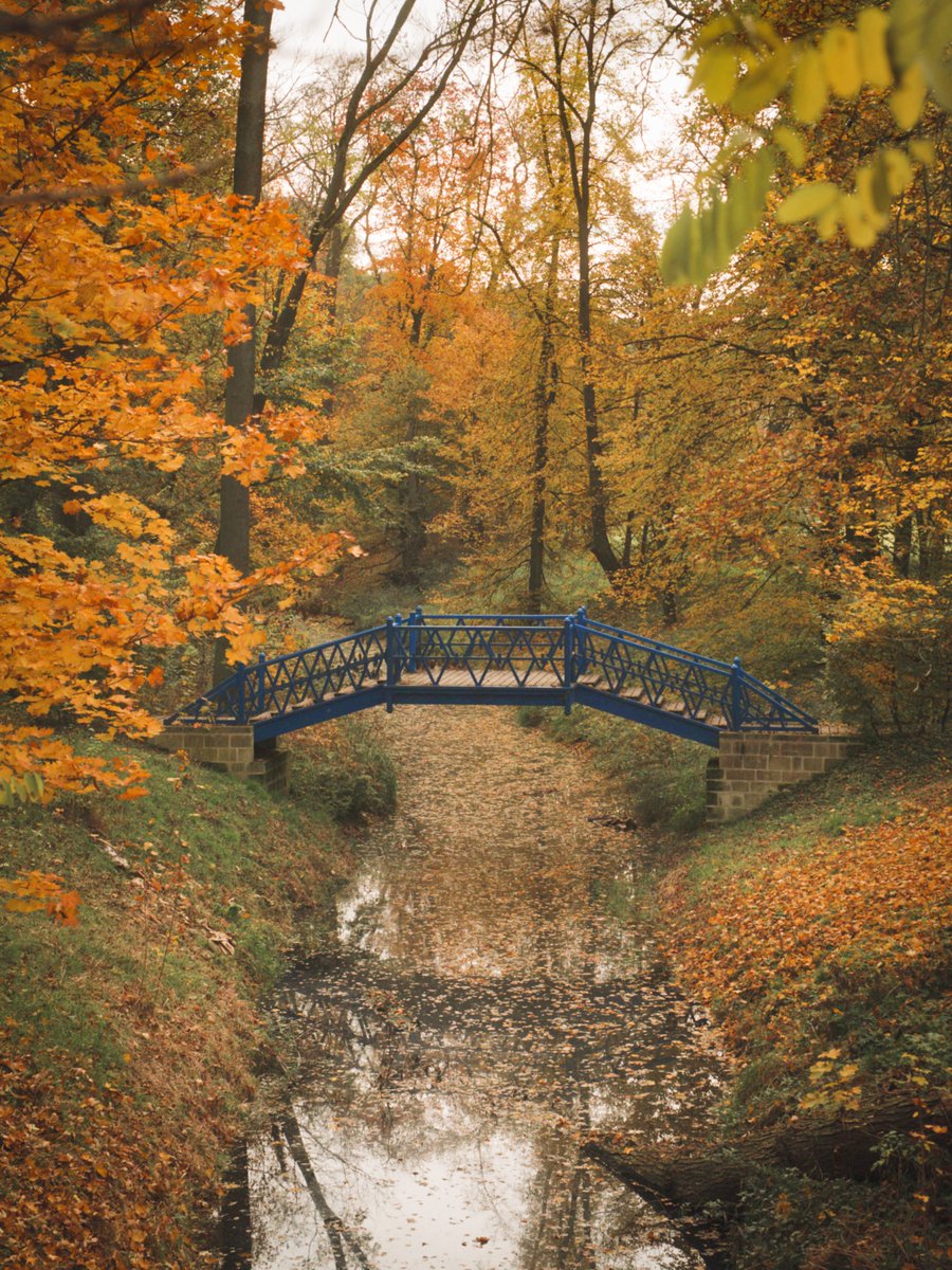 RedkiwiH's tweet photo. A few images from Veltrusy Park.

#autumnvibes #czhechrepublic #landscapephotography #nature #fujifilm_xseries https://t.co/TZFA2pUBwB