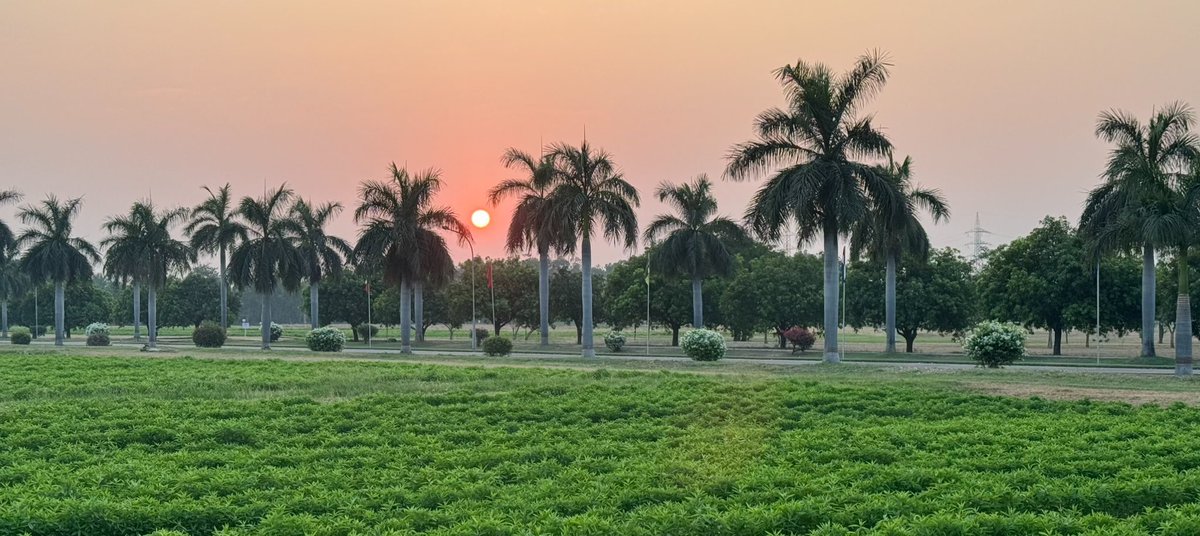 DrStanfordBlade's tweet photo. We @ICRISAT work to create impact which is completely aligned with the #OneHealth idea. #soilfertility #foodsafety #integratedpestmanagement #foragecrops #onehealthmonth https://t.co/5qNZIfVqFq