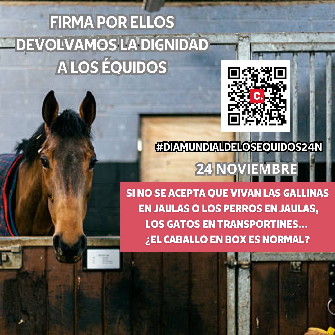 Protectora ADE tweet media