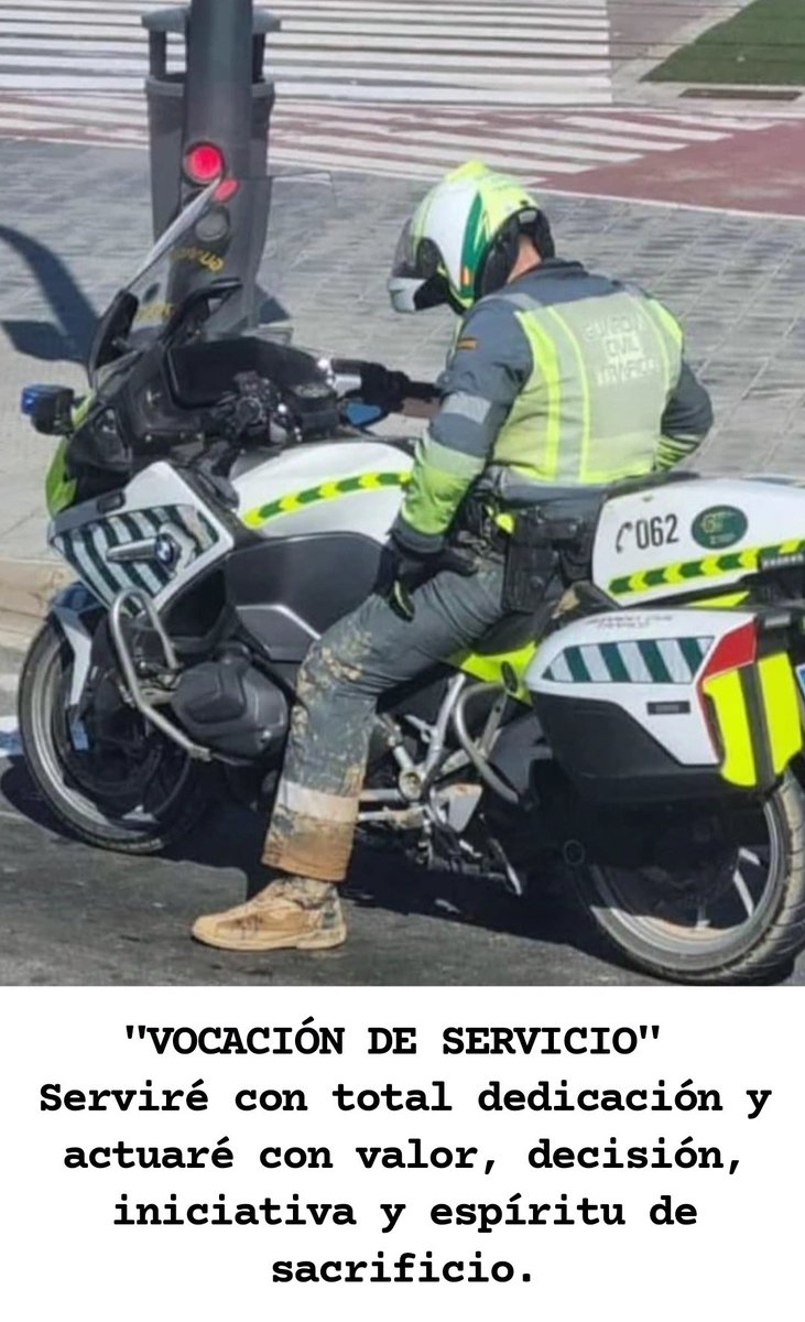 CEDEVEF1's tweet photo. 💚HONOR💚 https://t.co/VYEdEgXfsI