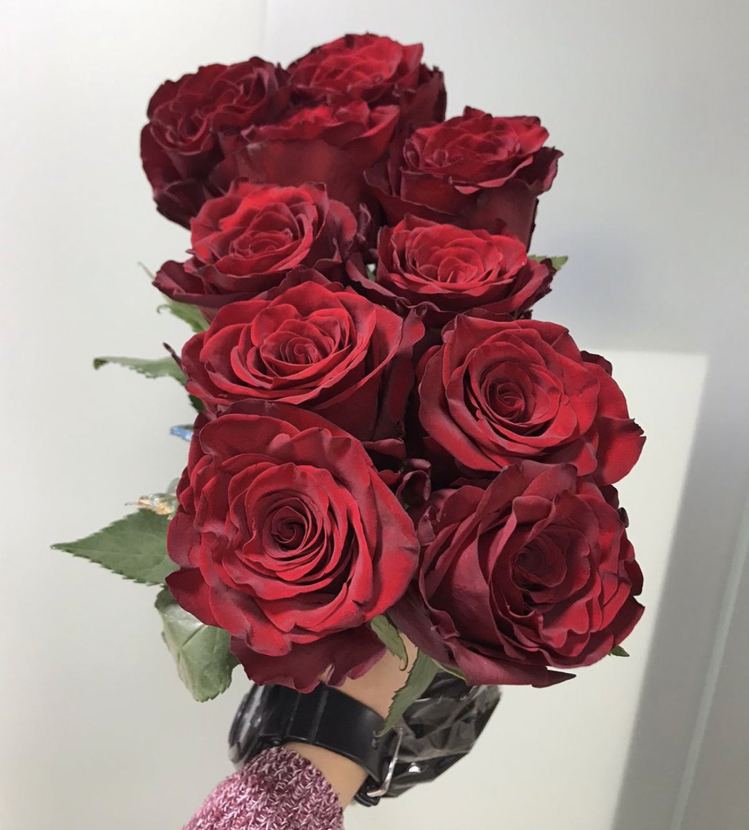 Ashstore_sd's tweet photo. “Red roses show love and passion in a simple, beautiful way.”♥️ https://t.co/6MfsYapr2J