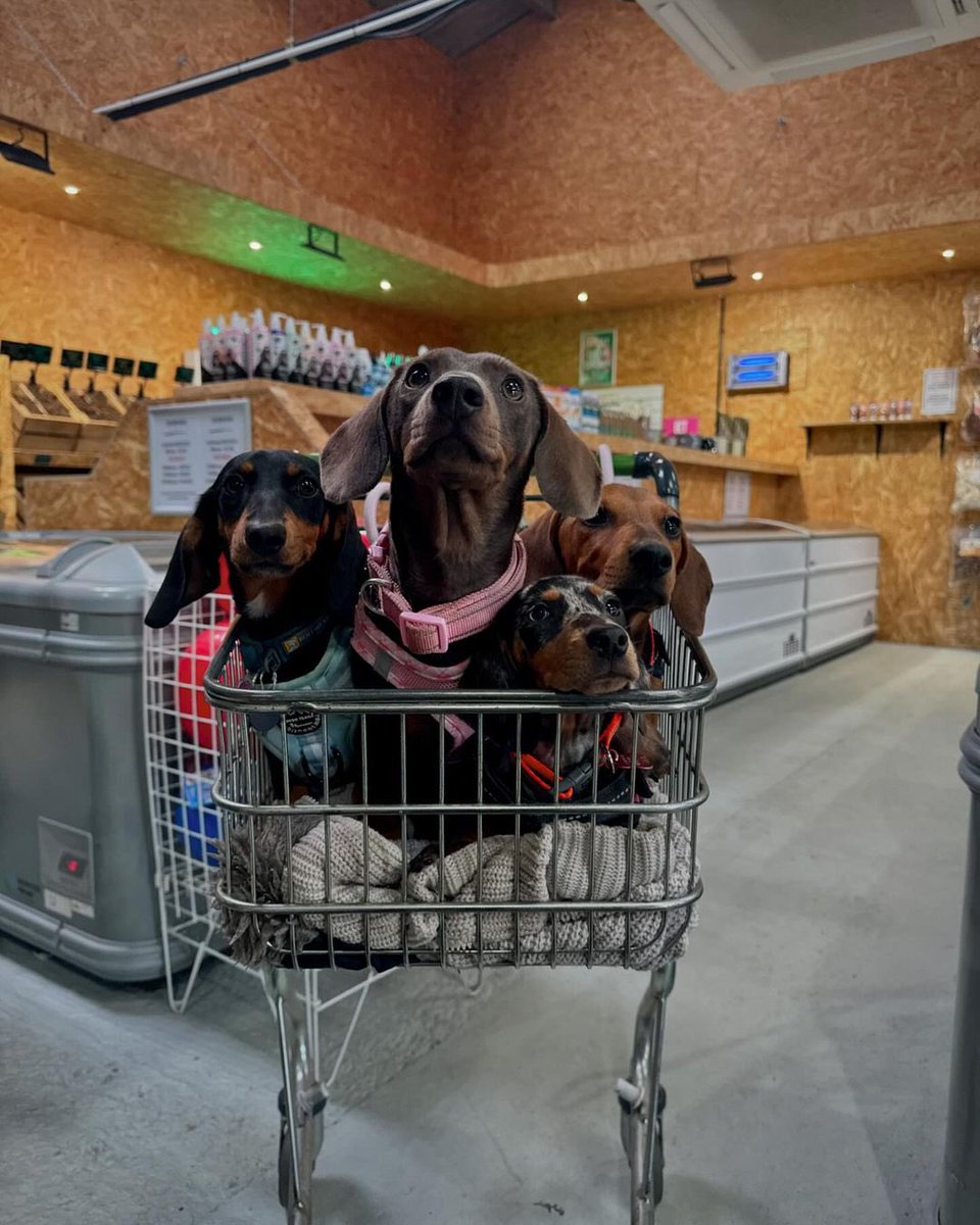 The Magic Stamp tweet media