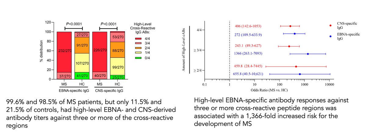 Eric Topol (@erictopol) on Twitter photo New evidence pinpointing the risk of multiple sclerosis from Epstein-Barr virus
jci.org/articles/view/…
<a href="/jclinicalinvest/">Journal of Clinical Investigation</a> <a href="/MedUni_Wien/">MedUni Wien</a> New evidence pinpointing the risk of multiple sclerosis from Epstein-Barr virus
jci.org/articles/view/…
<a href="/jclinicalinvest/">Journal of Clinical Investigation</a> <a href="/MedUni_Wien/">MedUni Wien</a>