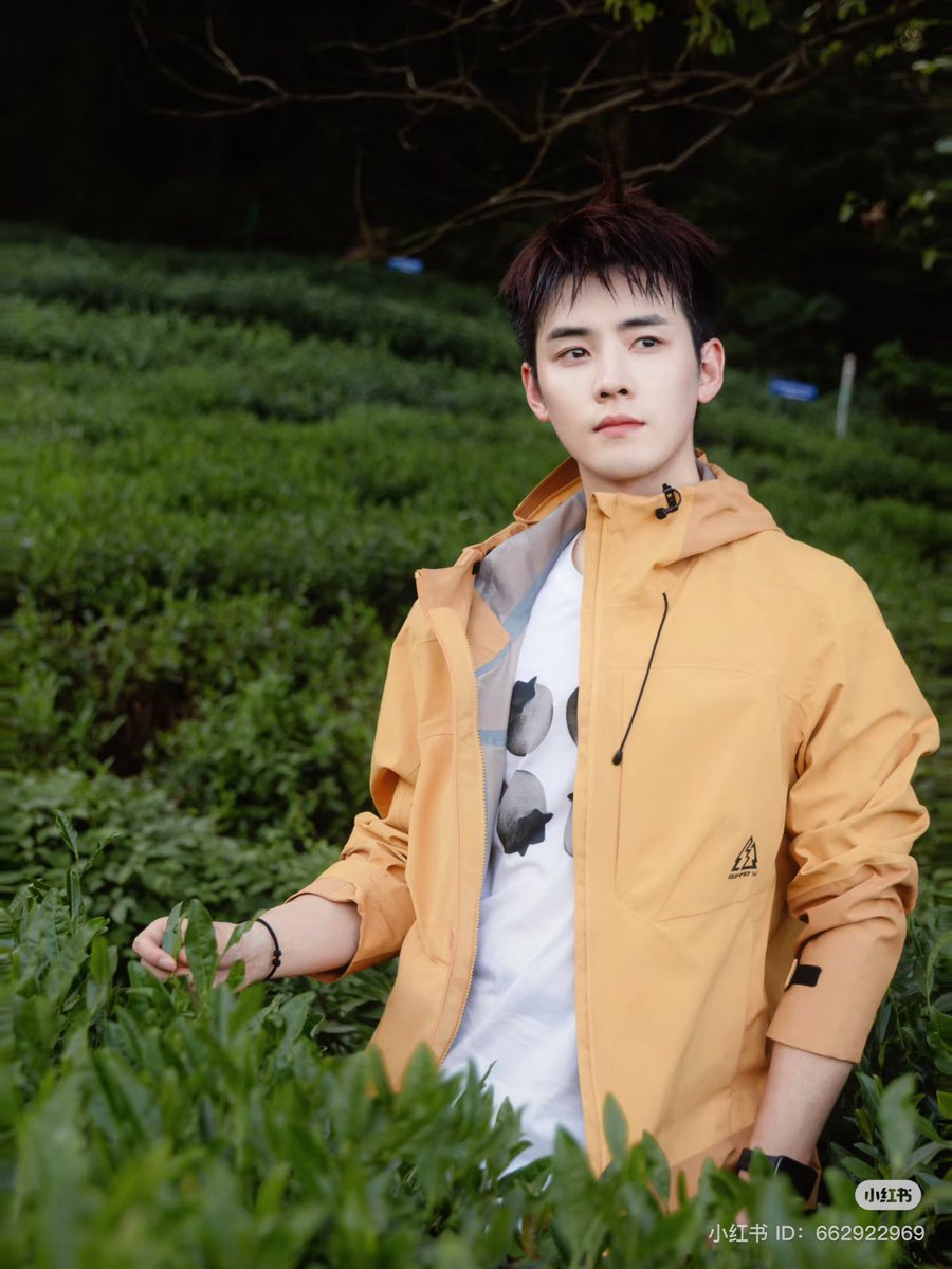 RENHAO THAILAND tweet media