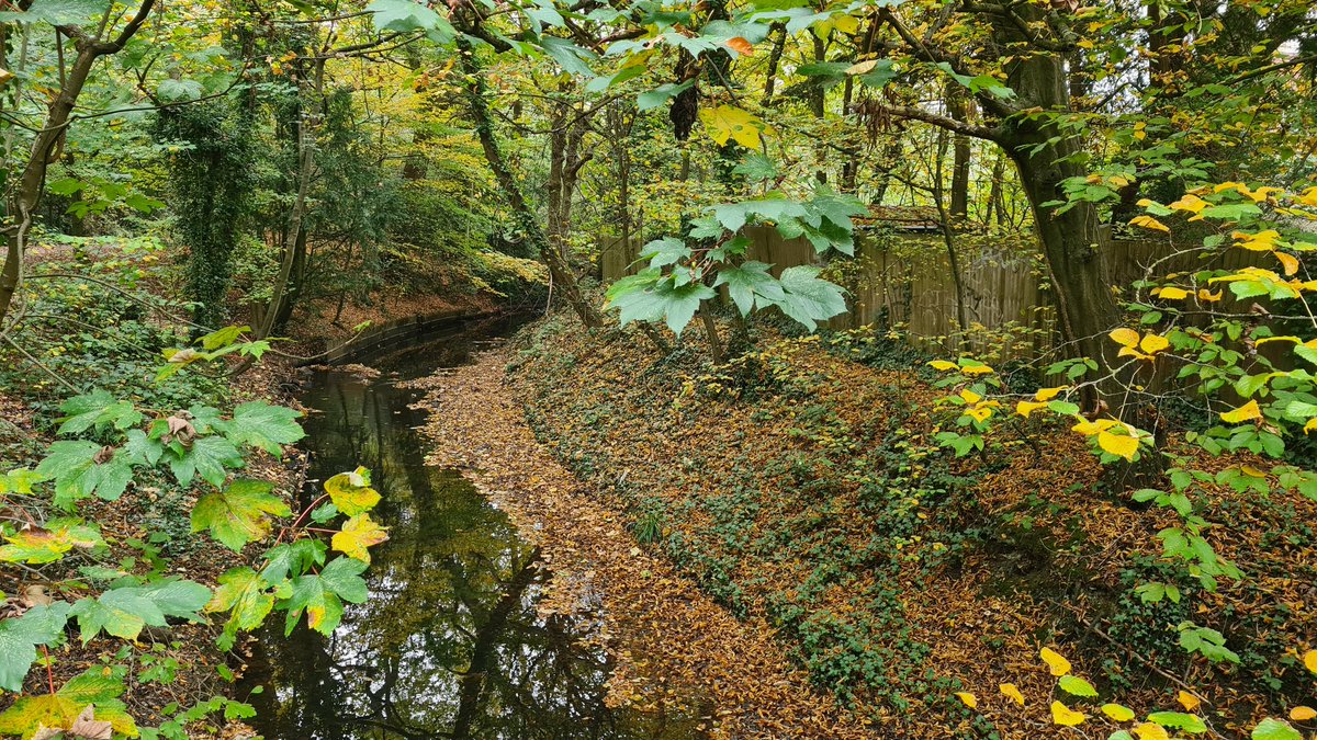 Martin Gilbraith tweet media